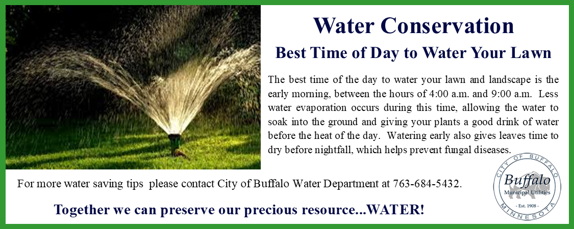 Best Time to Water Lawn