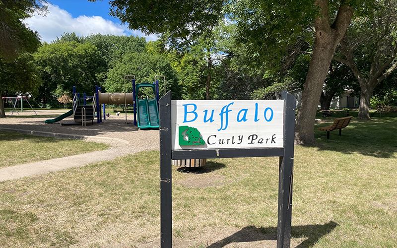 Curly Park
