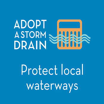 Adopt a Storm Drain - Spotlight