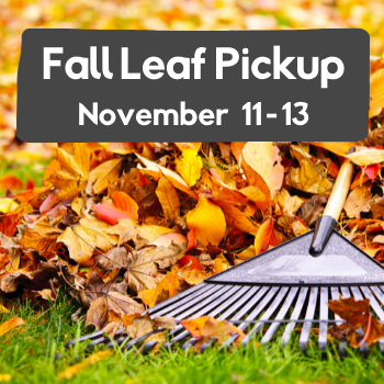Fall Leaf Pick-Up Spotlight