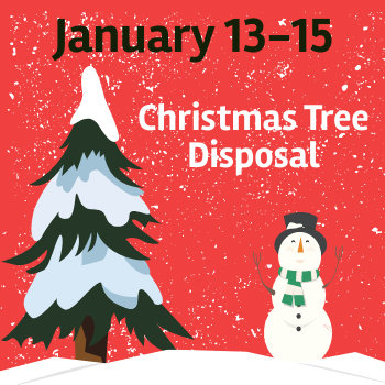 2025 Chritmas Tree Pick-Up Spotlight