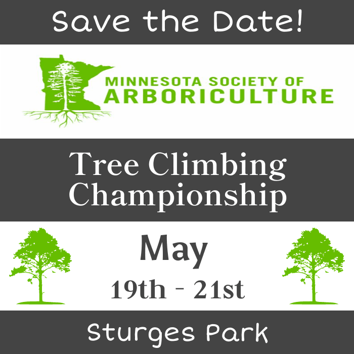 Tree Climbing Spotlight