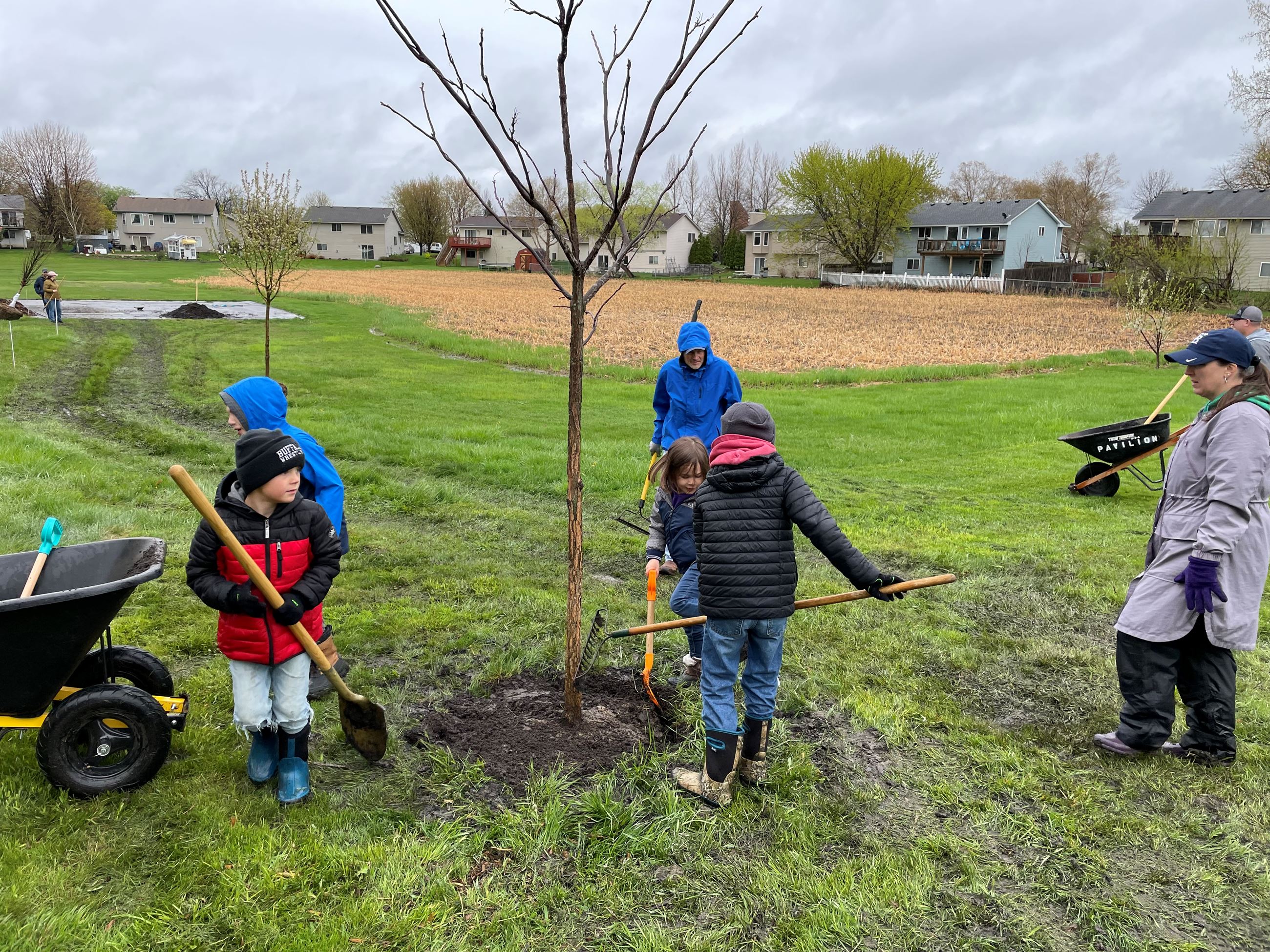 Group Planting a Tree