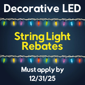 Decorative LED String Light - Spotlight