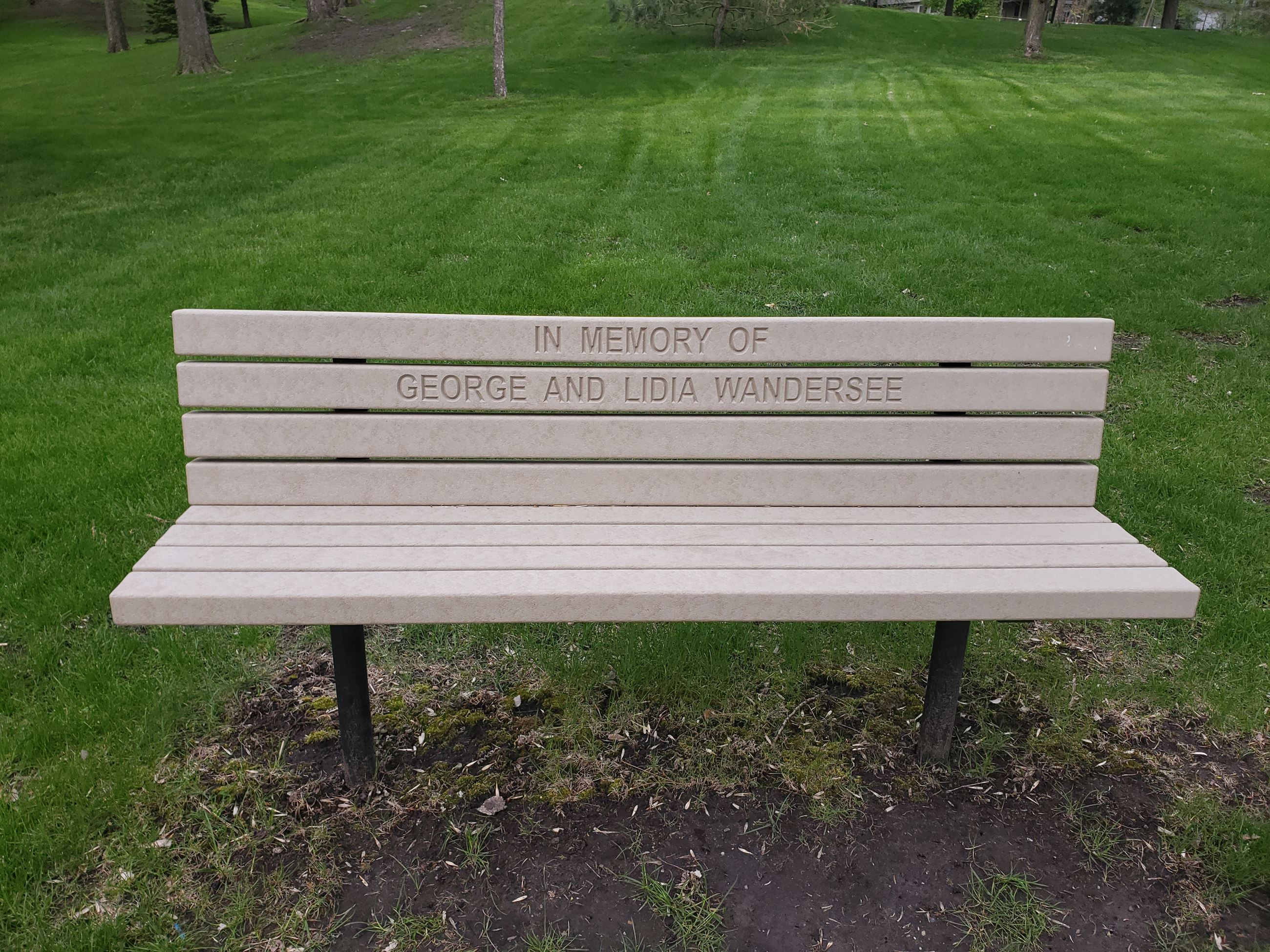 Bench on Grass