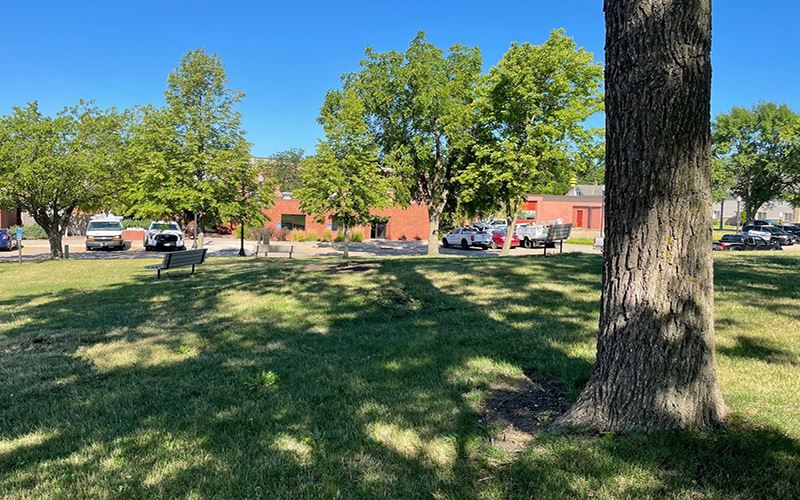Beautiful Shaded Park by Buffalo City Center