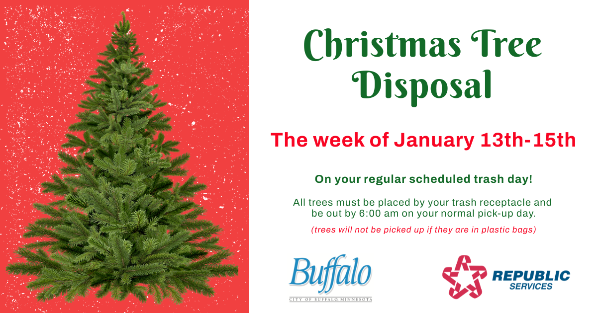 Christmas Tree Disposal