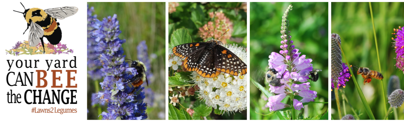 Lawns to Legunes Logo - 2024